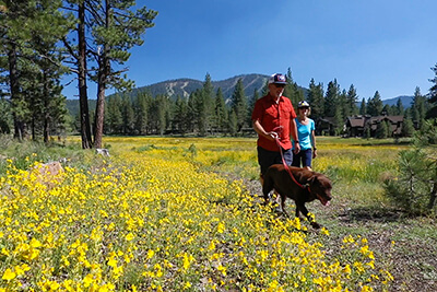 Truckee - Paul Hamill Photography