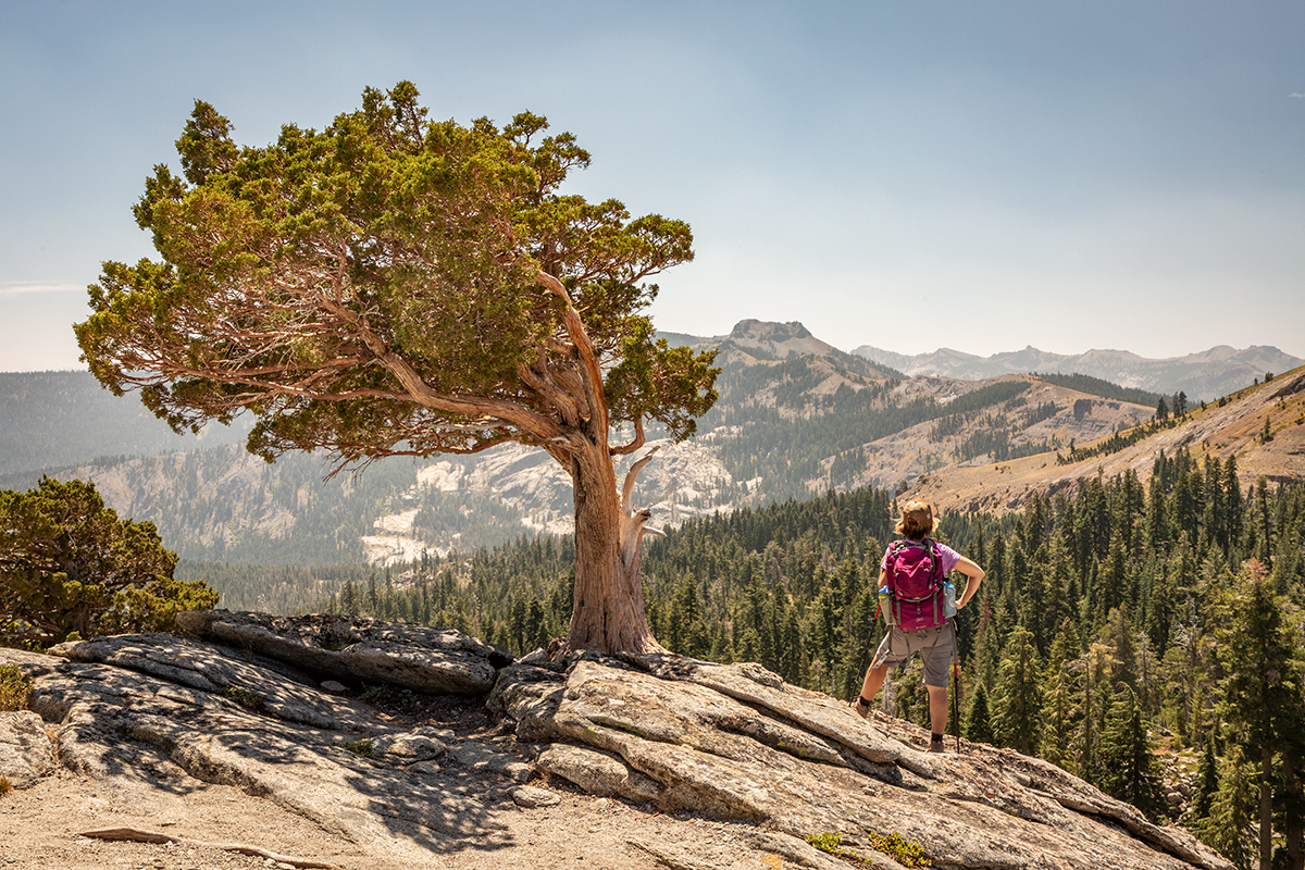 Paul Hamill Photography - Donner Peak