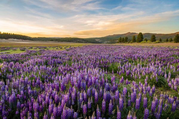 Truckee - Paul Hamill Photography