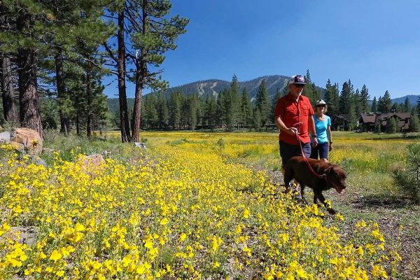 Hikers Meadow Parks & Trails