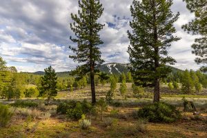 Lahontan Luxury Homes for sale in Truckee, CA