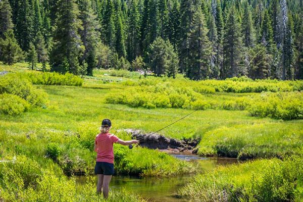 Truckee Fly Fishing by Paul Hamill Photography