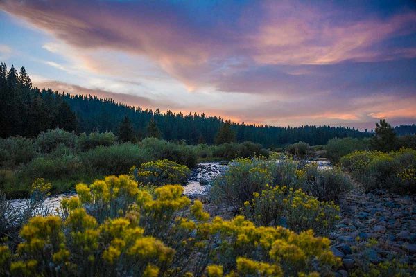 Truckee Fly Fishing by Paul Hamill Photography