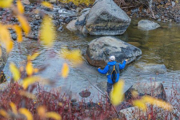 Truckee Fly Fishing by Paul Hamill Photography