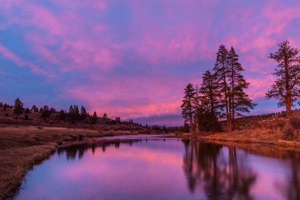 Truckee Fly Fishing by Paul Hamill Photography