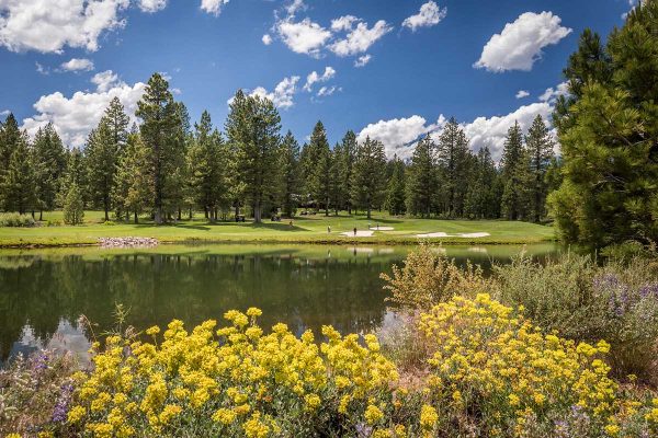 Hole 3 Tom Weiskopf Golf Course